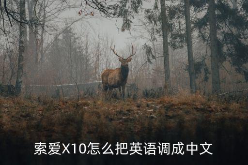 索愛X10怎么把英語調成中文