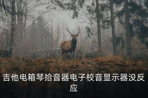 拾音器的小屏幕怎么看，吉他電箱琴拾音器電子校音顯示器沒反應(yīng)