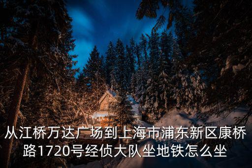 從江橋萬達廣場到上海市浦東新區康橋路1720號經偵大隊坐地鐵怎么坐