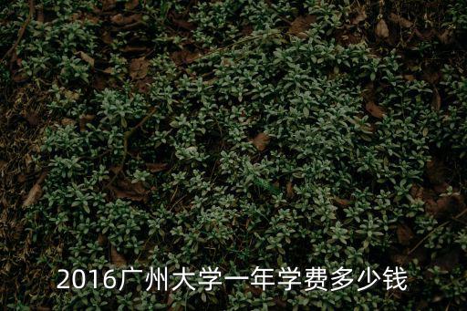 2016廣州大學一年學費多少錢