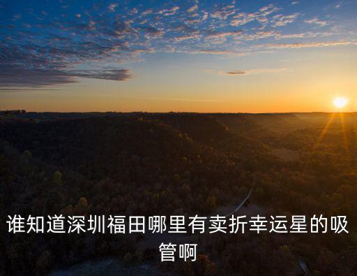 誰(shuí)知道深圳福田哪里有賣折幸運(yùn)星的吸管啊