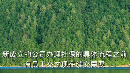 新成立的公司辦理社保的具體流程之前有員工交過現在續交需要