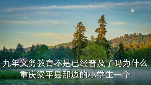 2018年重慶市教委人文社科項目，重慶巴蜀中學的老師講普通話嗎我是從深圳回老家來的一點也聽