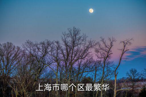 上海市哪個區最繁華