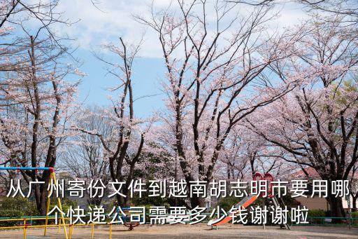 從廣州寄份文件到越南胡志明市要用哪個快遞公司需要多少錢謝謝啦