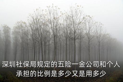 深圳社保新政策出來了，深圳或全國對用人單位為勞動者繳納社會保險有哪些相關的規定怎樣