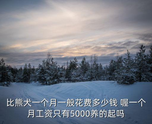 比熊犬一個月一般花費多少錢 喔一個月工資只有5000養的起嗎