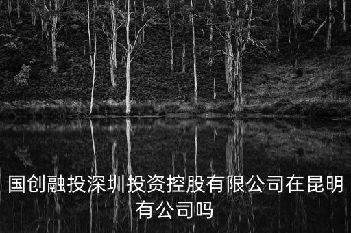 深圳市創融投資發展有限公司，國創融投深圳投資控股有限公司在昆明有公司嗎