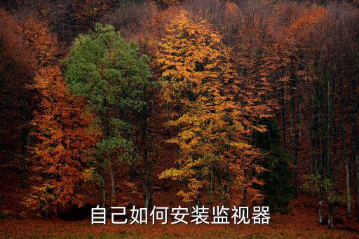自己如何安裝監視器