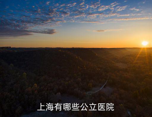 上海有哪些公立醫院