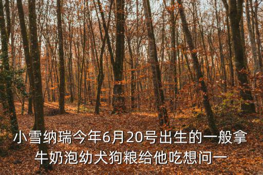小雪納瑞今年6月20號出生的一般拿牛奶泡幼犬狗糧給他吃想問一