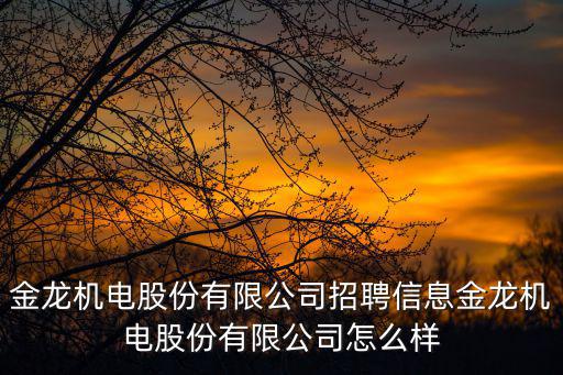 東莞金龍機電招聘信息，寮步金龍機電廠累嗎