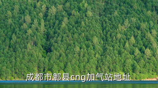 成都市郫縣cng加氣站地址