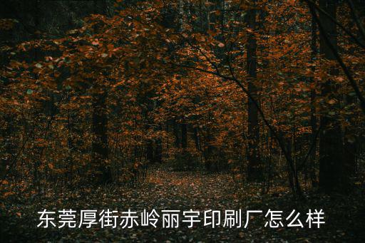 東莞厚街赤嶺麗宇印刷廠怎么樣