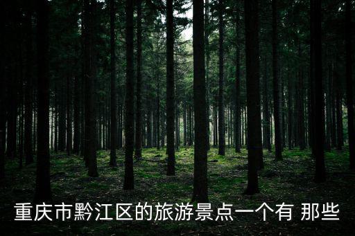 重慶市黔江區(qū)的旅游景點(diǎn)一個(gè)有 那些