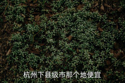 杭州下縣級市那個地便宜