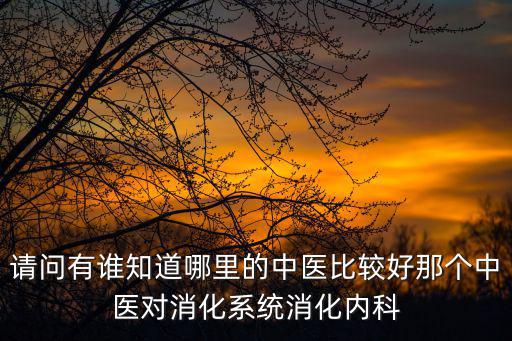 請問有誰知道哪里的中醫(yī)比較好那個中醫(yī)對消化系統(tǒng)消化內科