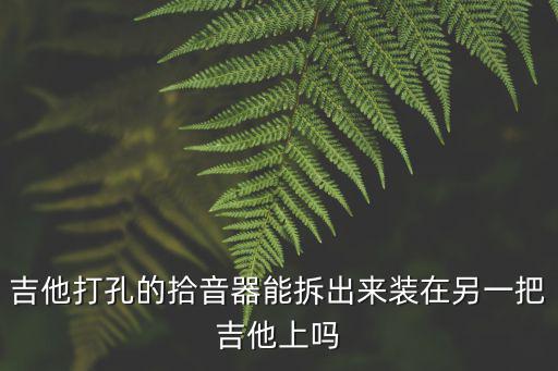 吉他打孔的拾音器能拆出來(lái)裝在另一把吉他上嗎
