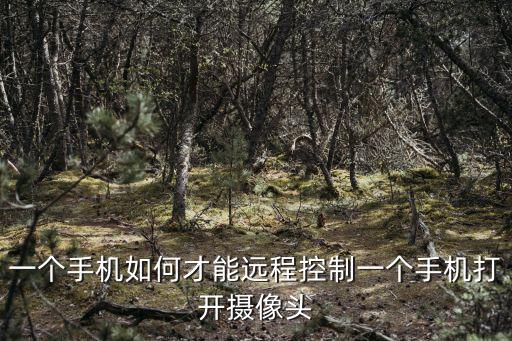 一個手機如何才能遠程控制一個手機打開攝像頭