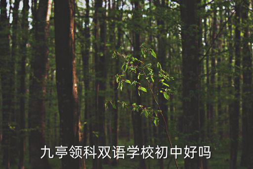 九亭領(lǐng)科雙語學(xué)校初中好嗎