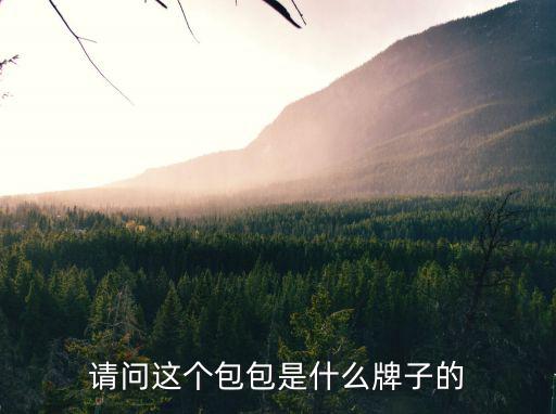 請(qǐng)問這個(gè)包包是什么牌子的
