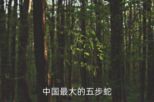 中國最大的五步蛇
