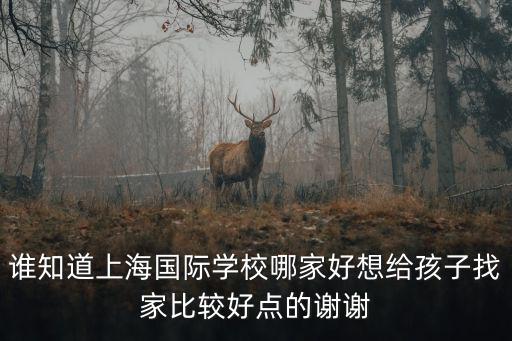 誰知道上海國際學校哪家好想給孩子找家比較好點的謝謝