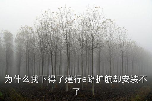 為什么我下得了建行e路護航卻安裝不了
