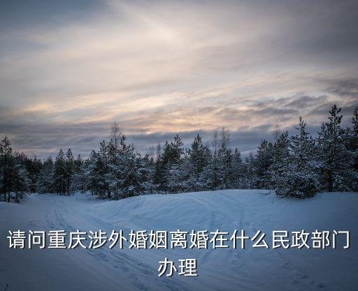 請問重慶涉外婚姻離婚在什么民政部門辦理