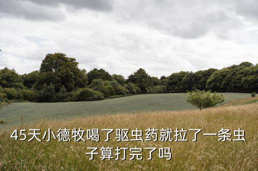 45天小德牧喝了驅蟲藥就拉了一條蟲子算打完了嗎