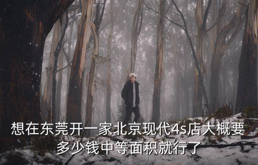 想在東莞開一家北京現代4s店大概要多少錢中等面積就行了