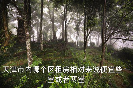 天津市內(nèi)哪個(gè)區(qū)租房相對(duì)來(lái)說(shuō)便宜些一室或者兩室