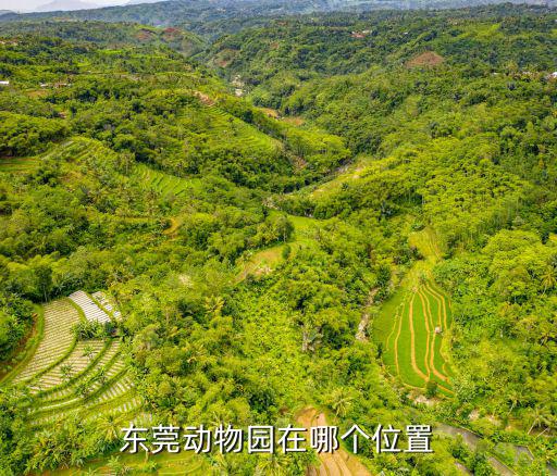 東莞動(dòng)物園在哪個(gè)位置
