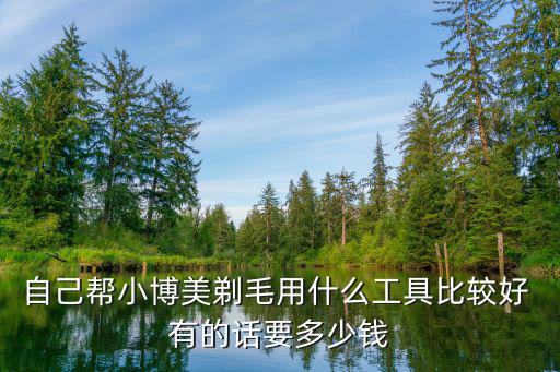 自己幫小博美剃毛用什么工具比較好 有的話要多少錢
