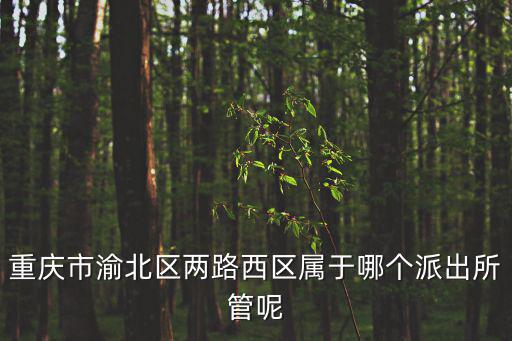 重慶市渝北區兩路西區屬于哪個派出所管呢