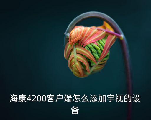 宇視服務器怎么添加設備，宇視監(jiān)控設備沒有啟動計劃錄像的如何啟動