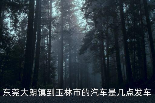 東莞到玉林汽車時刻表，東莞到玉林的汽車從東莞晚上六點開的車一般幾點到玉林