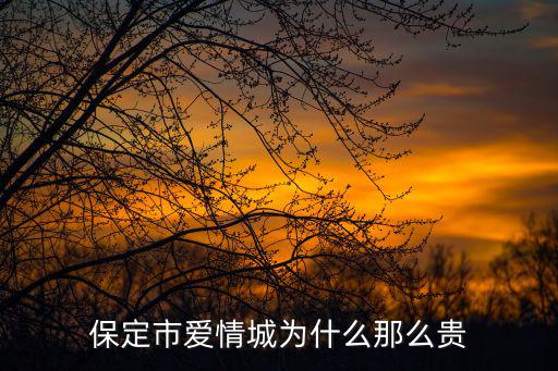 保定市愛情城為什么那么貴