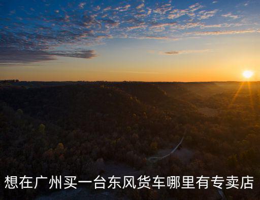 廣州東風(fēng)貨車汽配行，請問廣州的東風(fēng)天錦貨車配件專賣店是在那個地方啊