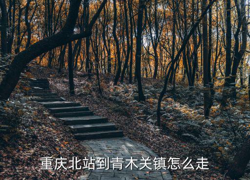 重慶北站到青木關(guān)鎮(zhèn)怎么走