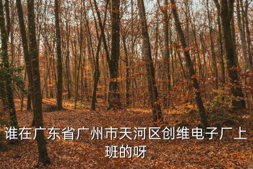 誰在廣東省廣州市天河區創維電子廠上班的呀