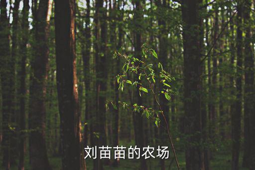 劉苗苗的農(nóng)場