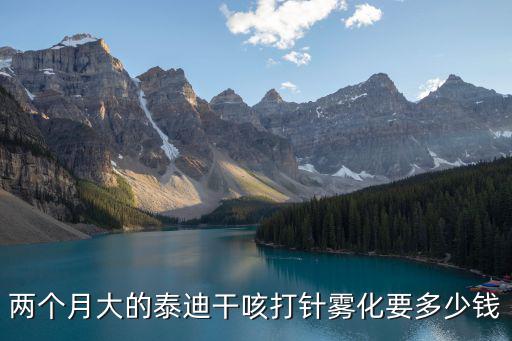 泰迪做霧化多少錢一次，寵物店給泰迪狗催吐大概多少錢