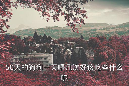 50天的小金毛吃多少合適，50天的泰迪小狗狗一天吃多少頓