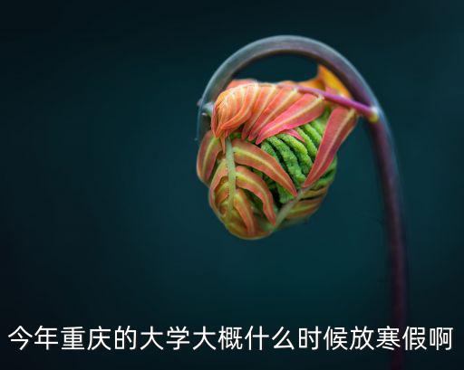 重慶市學校放寒假時間，重慶中小學寒假什么時后放