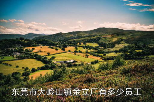東莞市大嶺山鎮金立廠有多少員工