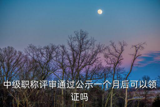 中級(jí)職稱評(píng)審?fù)ㄟ^(guò)公示一個(gè)月后可以領(lǐng)證嗎