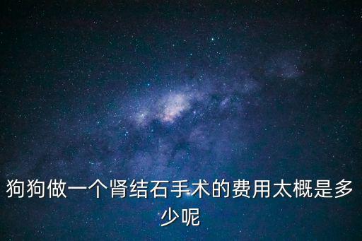 雪納瑞結(jié)石手術(shù)多少錢，狗狗肚子里有石子去寵物醫(yī)院做個取石子手術(shù)多少錢