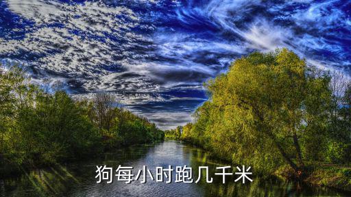 狗每小時跑幾千米