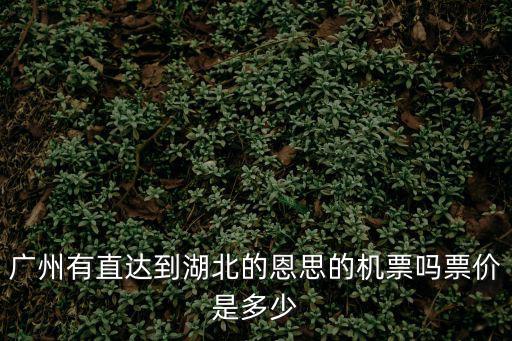 廣州有直達到湖北的恩思的機票嗎票價是多少